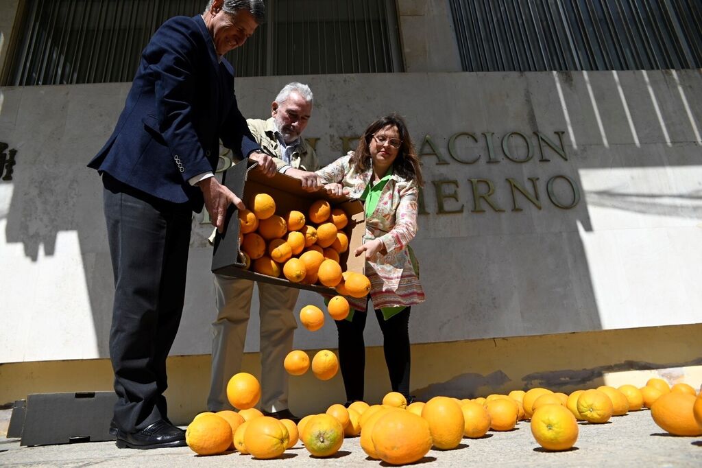 El reparto de naranjas en C&oacute;rdoba en protesta por la situaci&oacute;n del campo, en im&aacute;genes